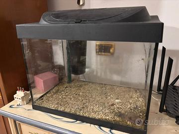 Acquario 30l