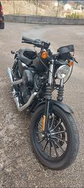 Harley-Davidson xl 883 iron 