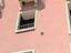 Immagine 9