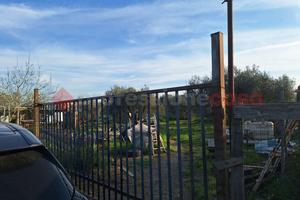 Terreno Agricolo Grosseto [Cod. rif 3230840VRG]