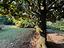 Immagine 20