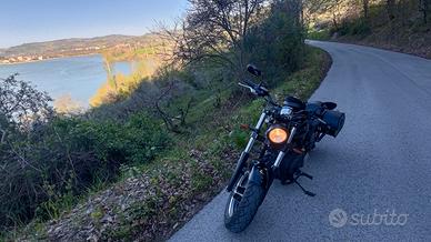 Victory Judge 1731cc – 2014