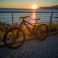 Trek slash 9.8 Taglia L 29