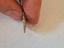 Immagine 3