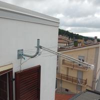 Antenna a spina