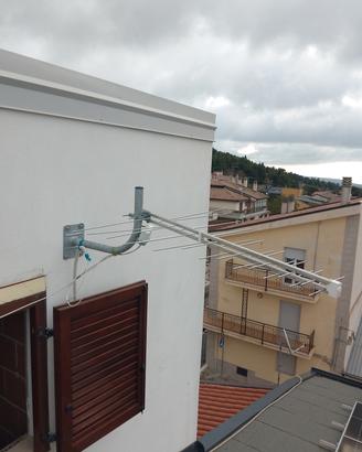 Antenna a spina