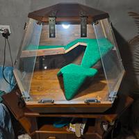 Terrario per rettili