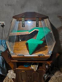 Terrario per rettili