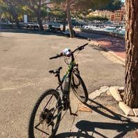 bici  mountanbike :pedalata assistita.