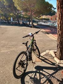 bici  mountanbike :pedalata assistita.