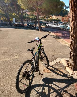 bici  mountanbike :pedalata assistita.