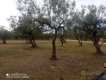 Rustico / Casale di 160 m² con più di 5 locali a F - Vista 2