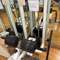 Sitting Calf modello Technogym