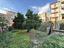 Immagine 23