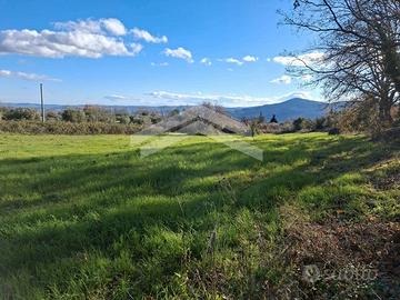 Terreno agricolo edificabile a Guardialfiera