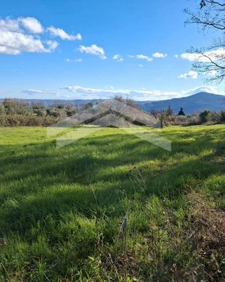 Terreno agricolo edificabile a Guardialfiera