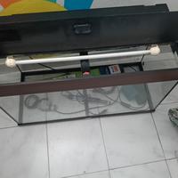 acquario 100L