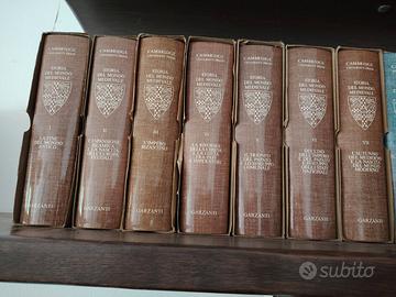 Storia del mondo medievale