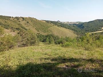 Rustico con terreno 