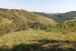 Rustico con terreno 
