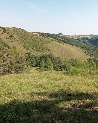 Rustico con terreno 