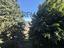 Immagine 14