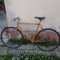 Bicicletta  Condorino