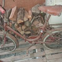 biciclette vintage 