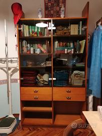 libreria in legno con vetri 
