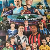 Figurine calciatori 25-26  provincia di napoli