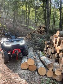 Quad Segway SNARLER AT6 L