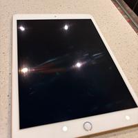 iPad 8  128g