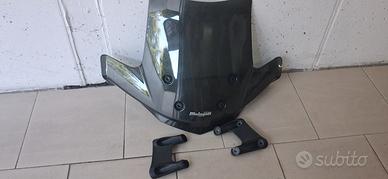 cupolino colore fume Malaguti blog  125  - 160