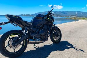 Kawasaki z650 My 2024