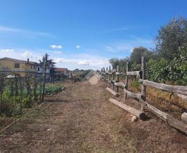 TER. AGRICOLO A ALBANO LAZIALE