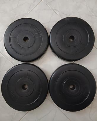 disci gommati pesi manubri bilanciere dà 5 kg t  