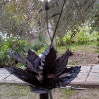 rosone con rosa in ferro battuto  