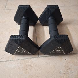 2 Manubri da 2,5 kg