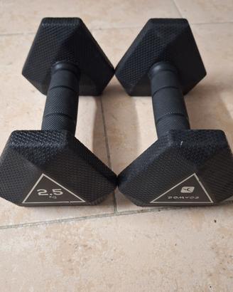 2 Manubri da 2,5 kg