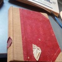 Pecos bill dal 186 al 206 albo d oro rilegati