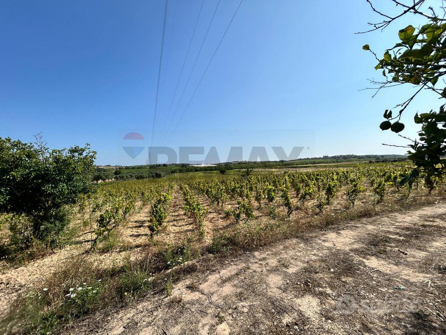 Terreno - Noto - Vista 2