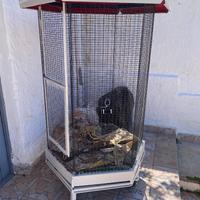 Gabbia per pappagalli