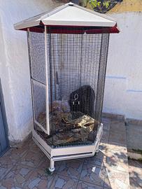 Gabbia per pappagalli