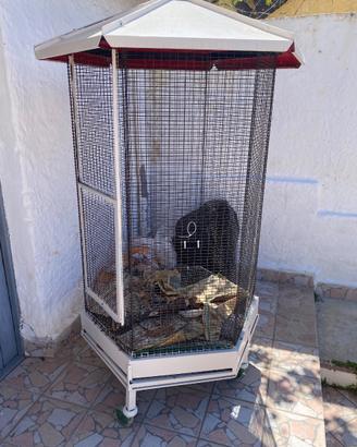 Gabbia per pappagalli