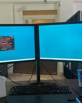 Coppia Monitor Asus ProArt 24 pollici