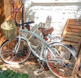 bicicletta da donna  senza marce