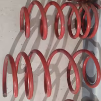 Molle Assetto Fiat Punto Simoni Racing