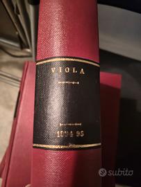 Viola