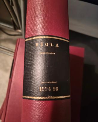 Viola
