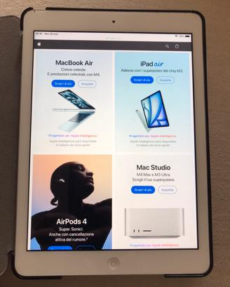 Ipad Air A1474